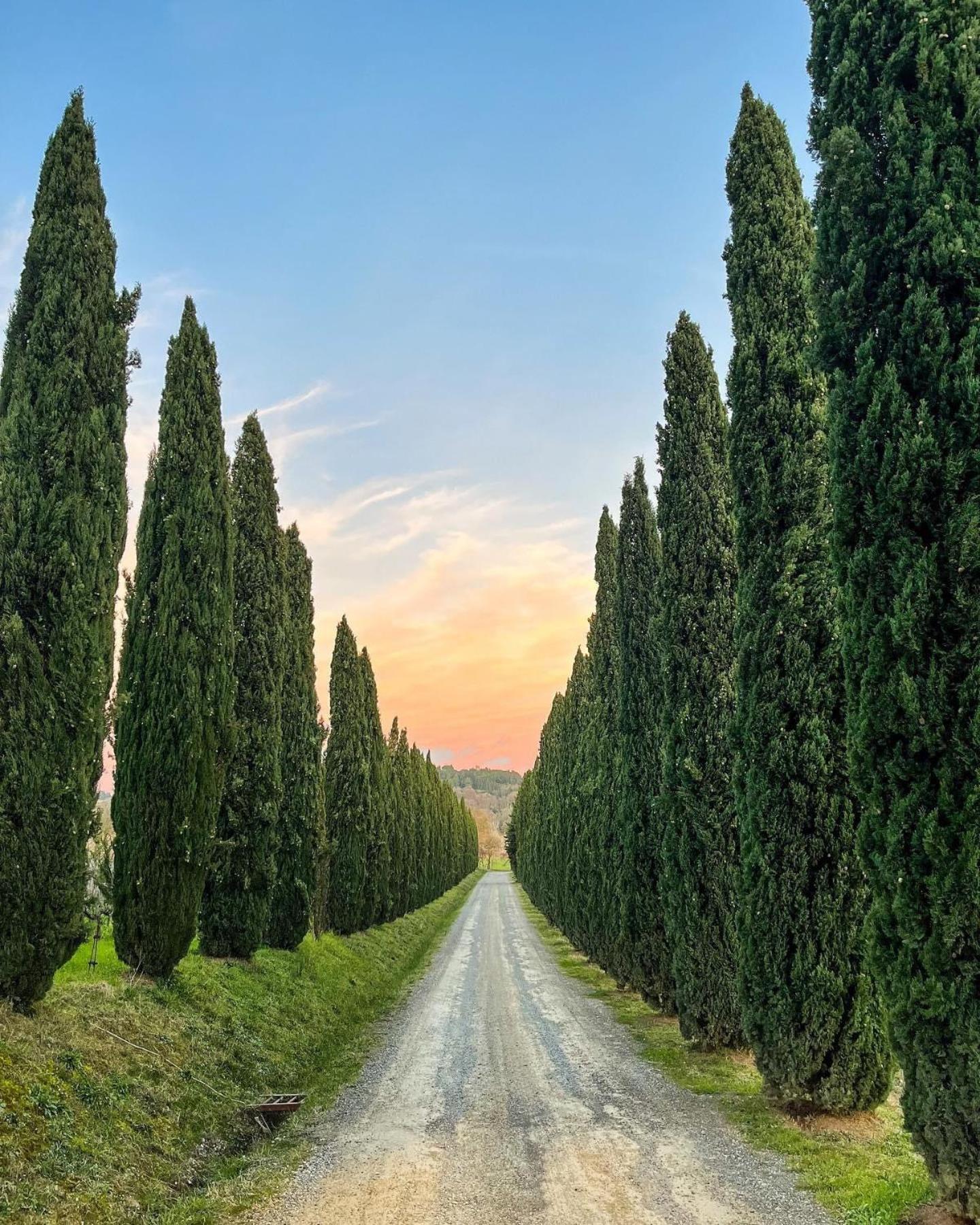 Fattoria Fibbiano *
