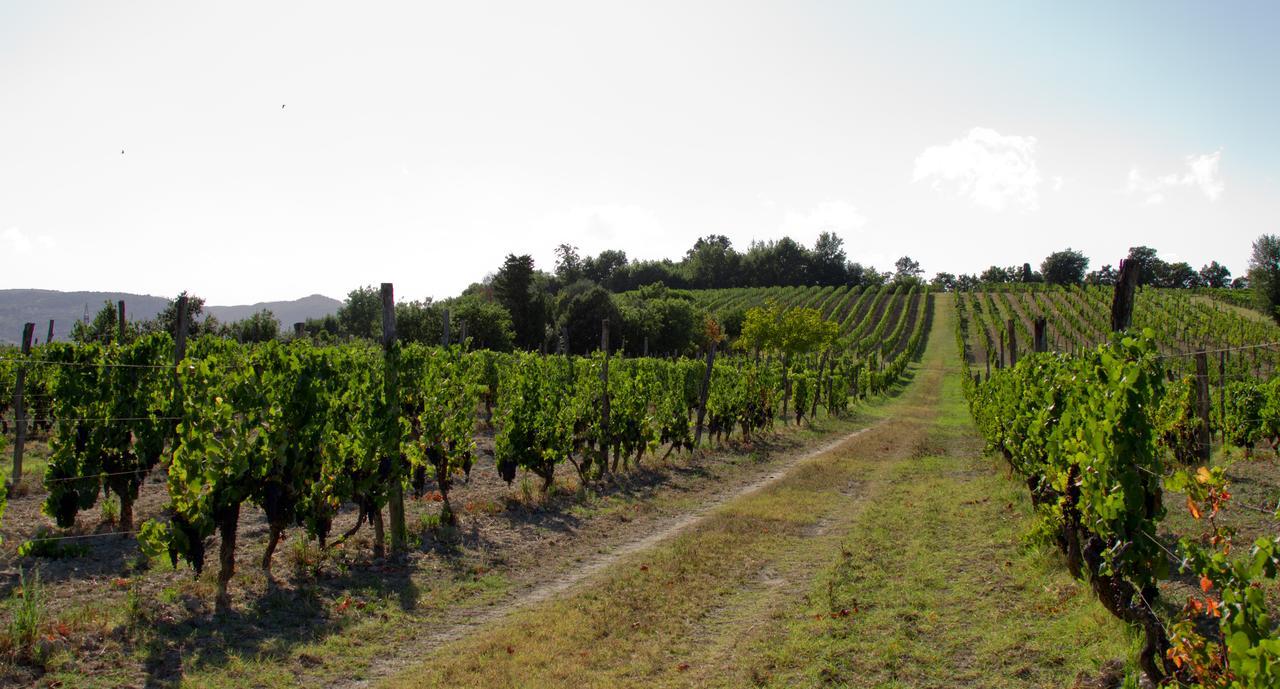 Fattoria Fibbiano Vakantieboerderij Terricciola