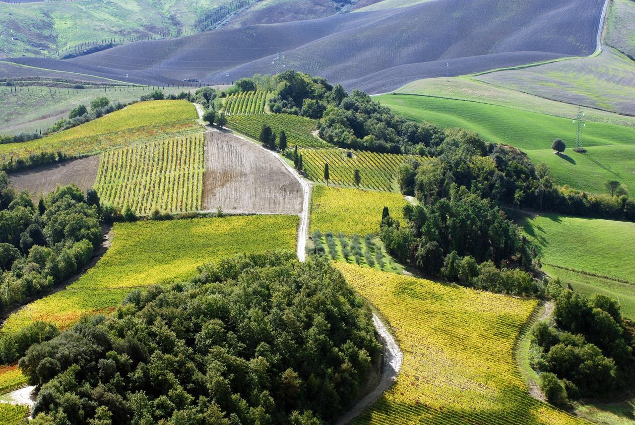 Fattoria Fibbiano *