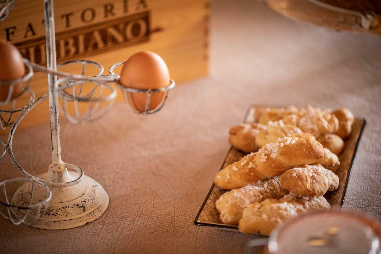 Vakantieboerderij Fattoria Fibbiano